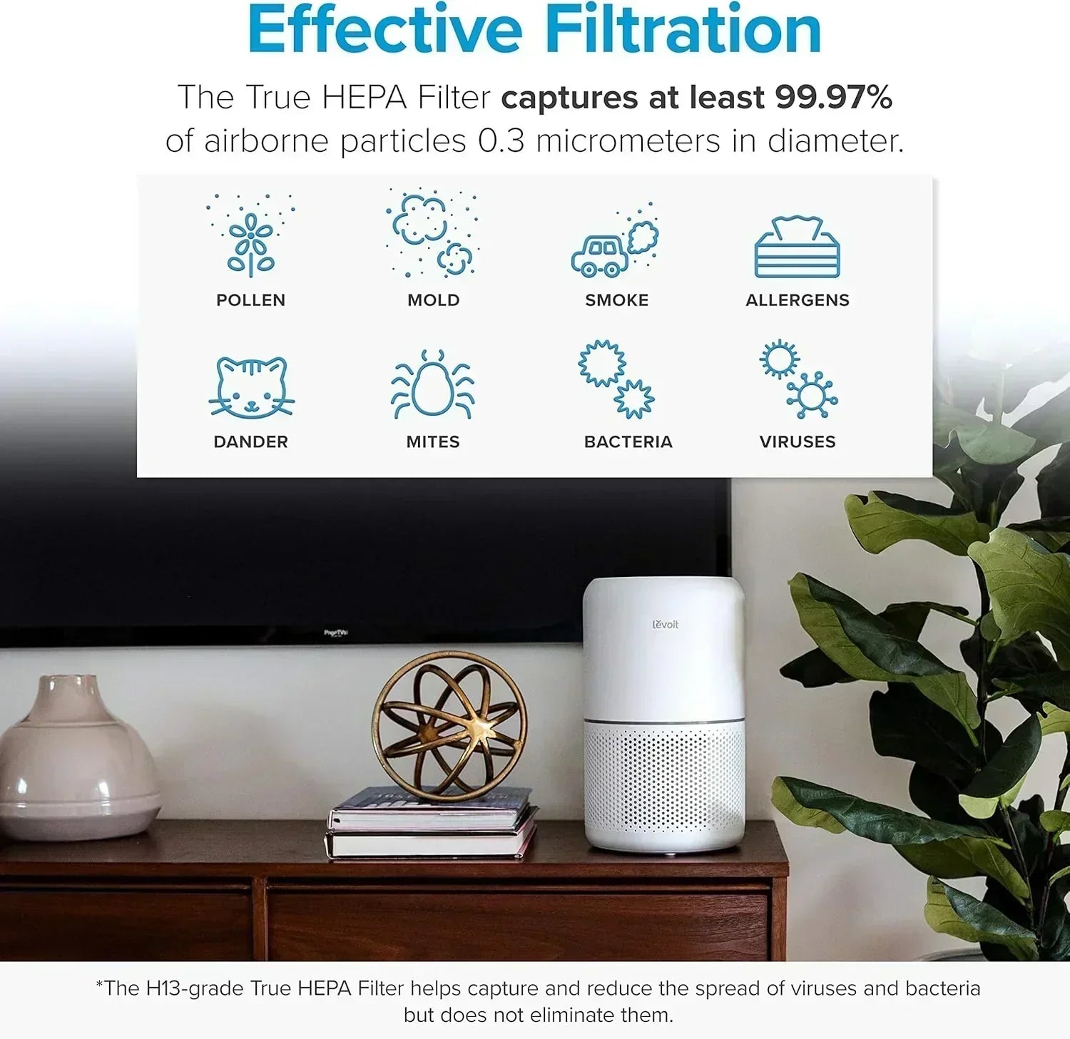Air Purifier for Bedroom Allergies and Pet Hair 56W High Torque Motor